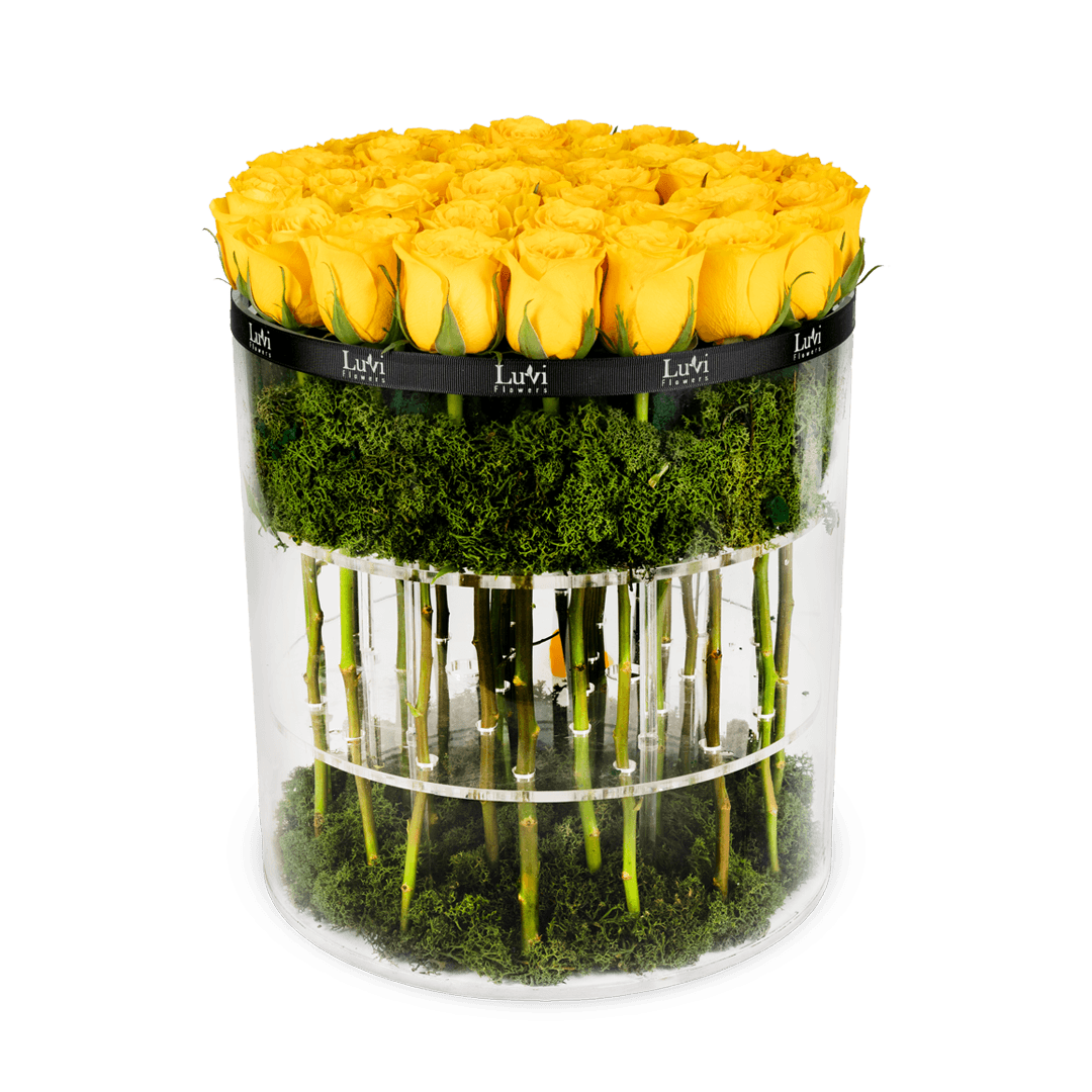 Flowers in acrylic display