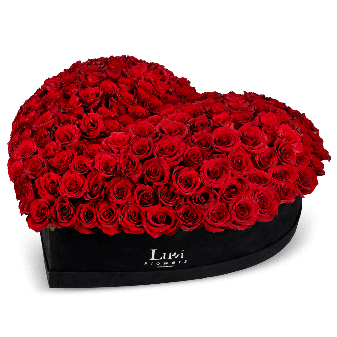 Mega heart-shaped flower box